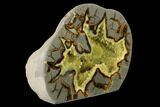 Polished, Crystal Filled Septarian Geode - Utah #149978-2